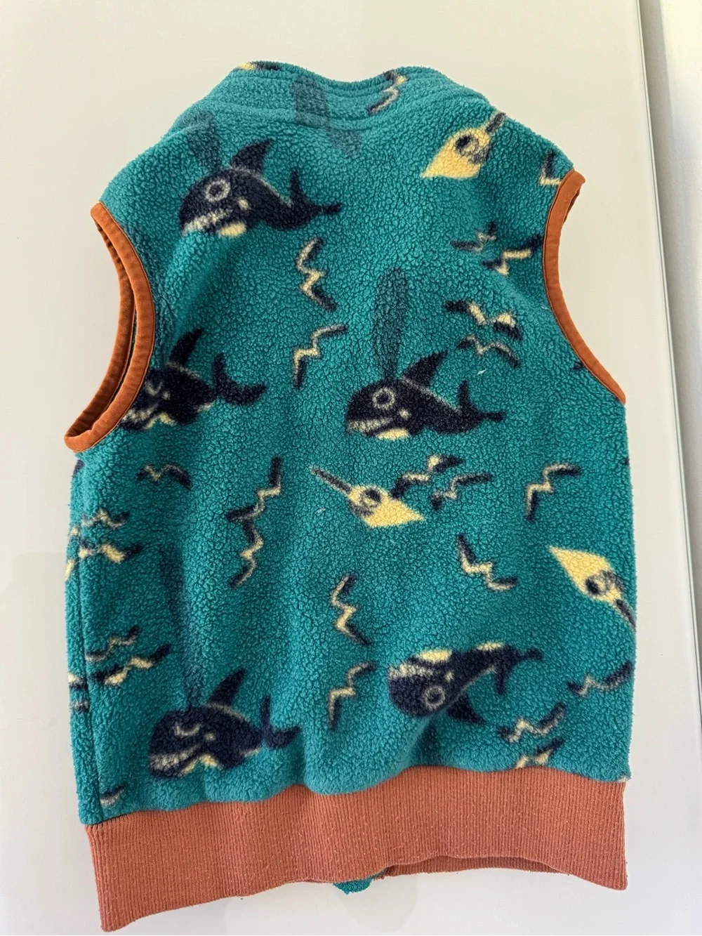 Patagonia Teal Fleece Vest with Rust Trim Size 3T